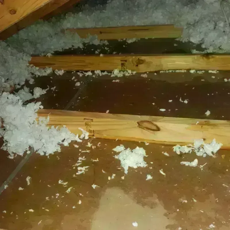 Attic Water Damage in Rockland, ME